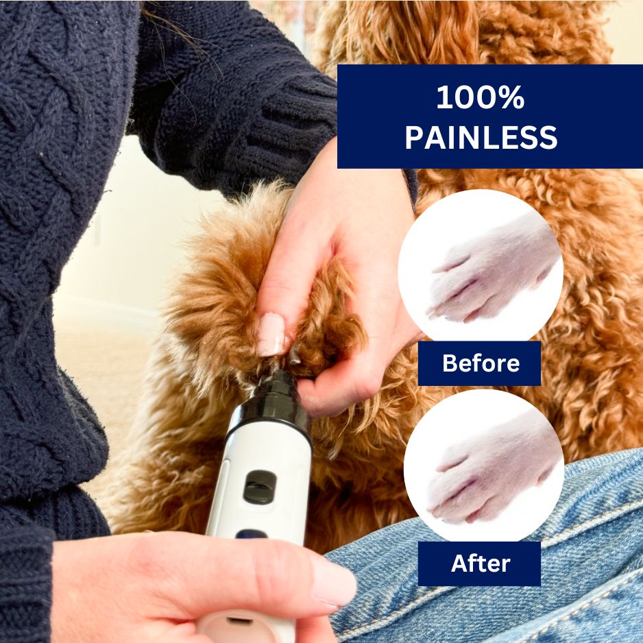 Heusom Silent Groom Pro for Stress-Free Grooming