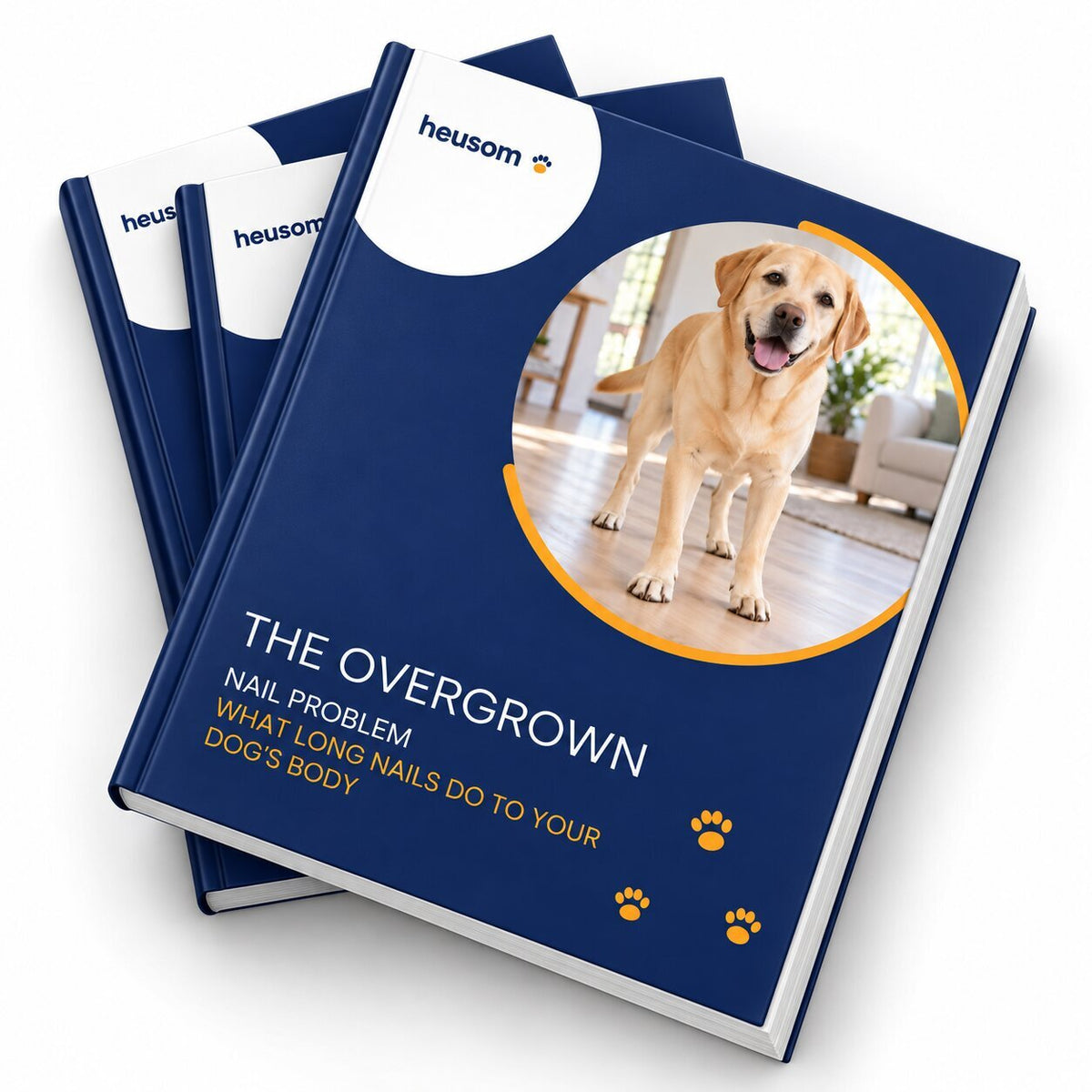 The Overgrown Nail Ebook