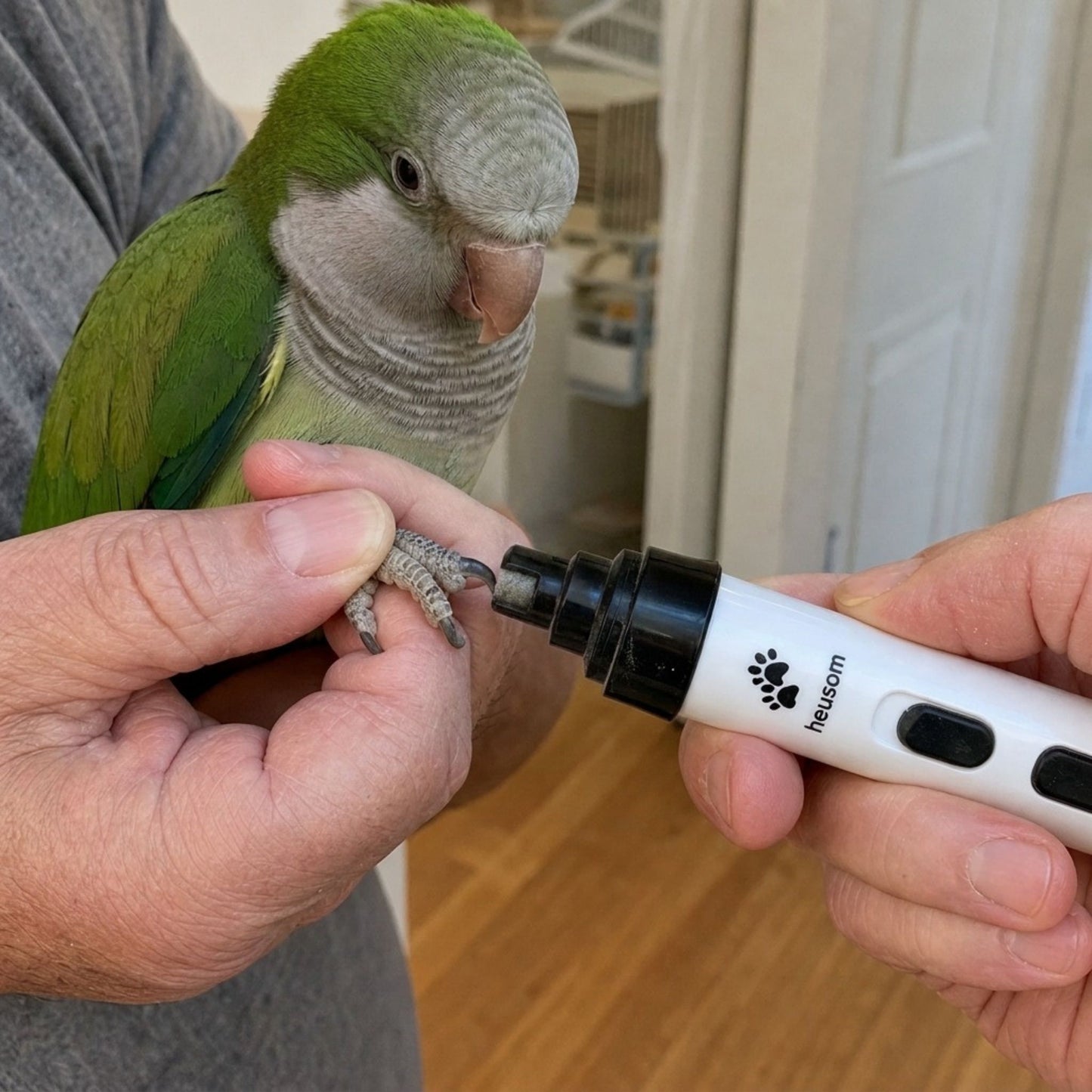 The Silent Groom Pro Birds