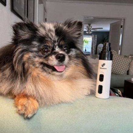 Best Dog Paw Trimmer for Happy, Healthy Paws - Heusom