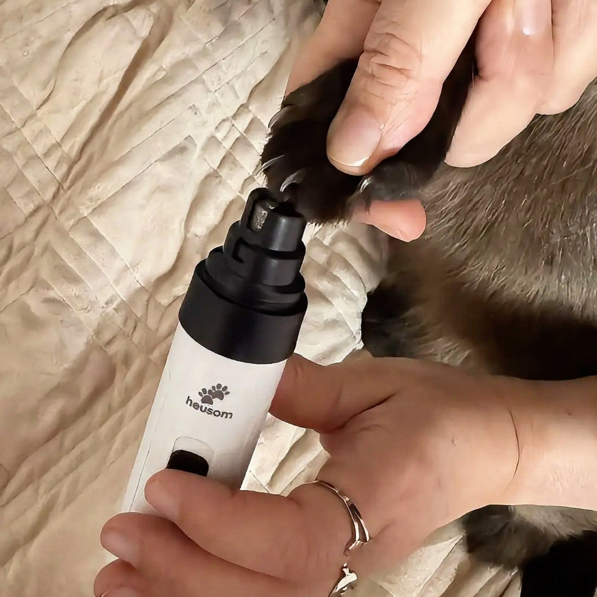 Cat vs Dog Nail Trimmers | Actual nail trimming of a dog