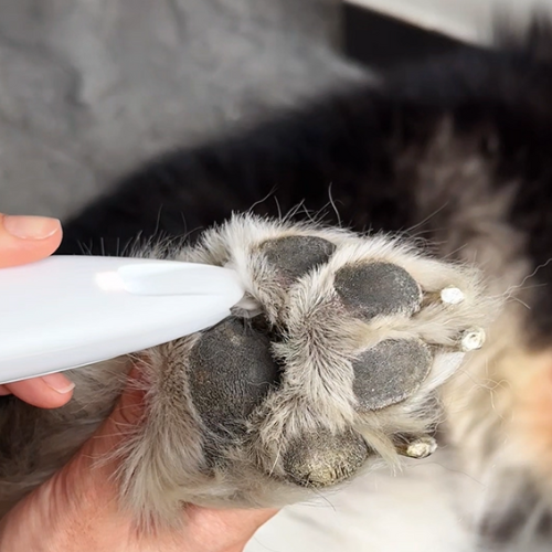 Silent Paw Trimmer Max for Dog - Heusom