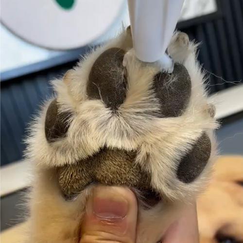 Silent Paw Trimmer Max For Dog 01 - Heusom