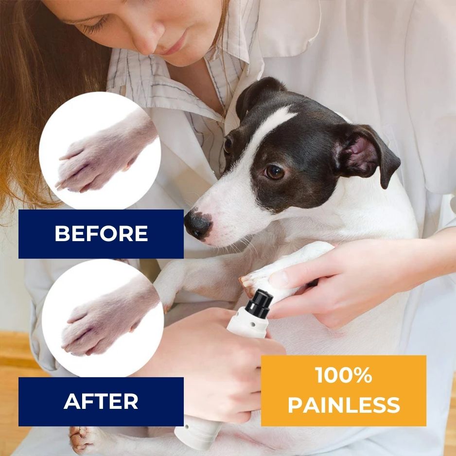 Heusom Silent Groom Pro – Quiet & Efficient Pet Grooming