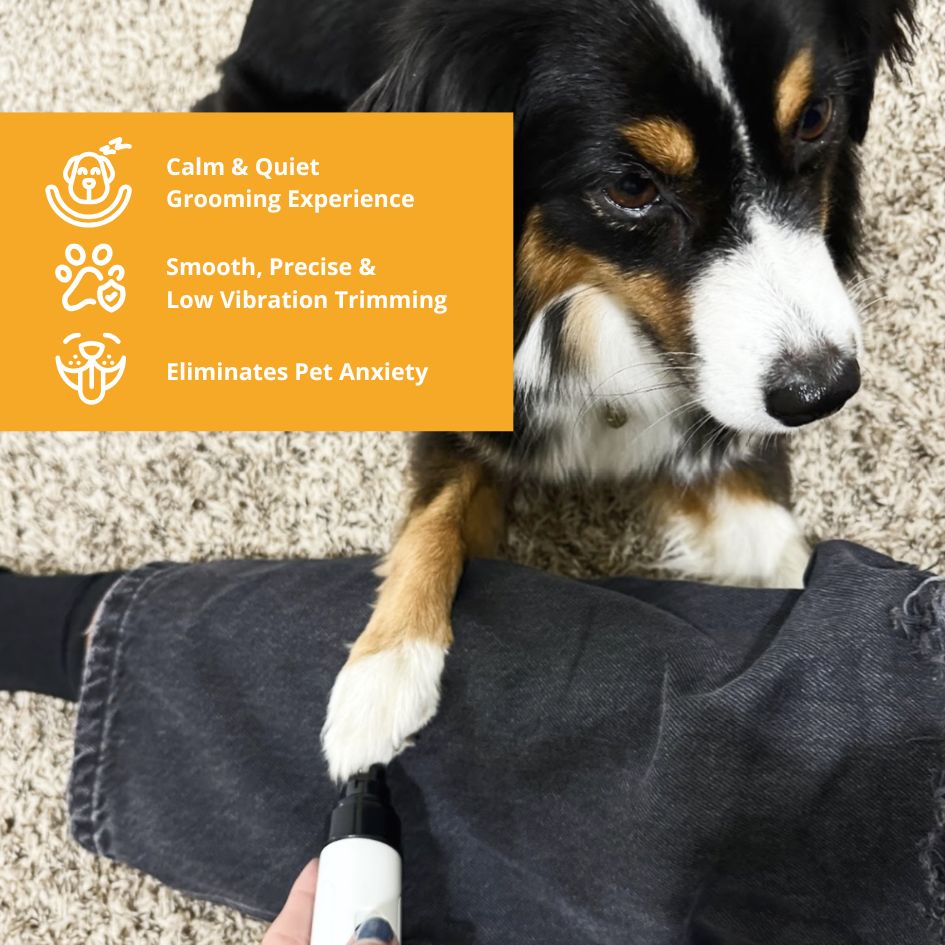 Silent Groom Pro – Effortless & Quiet Pet Grooming – Heusom