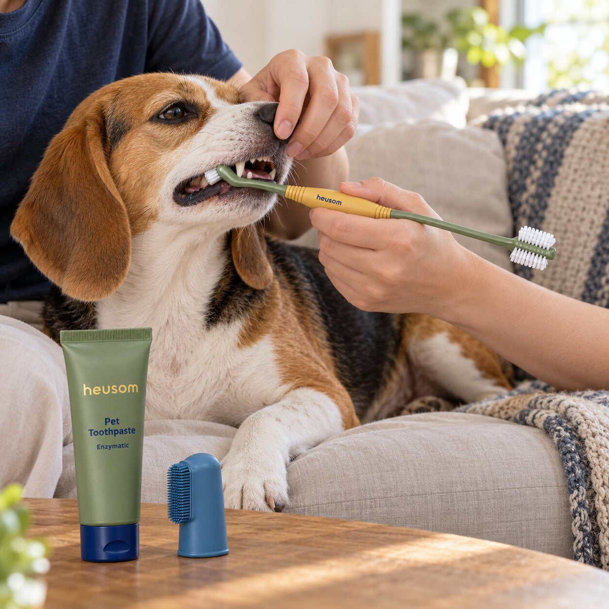 Pet Dental Care Kit