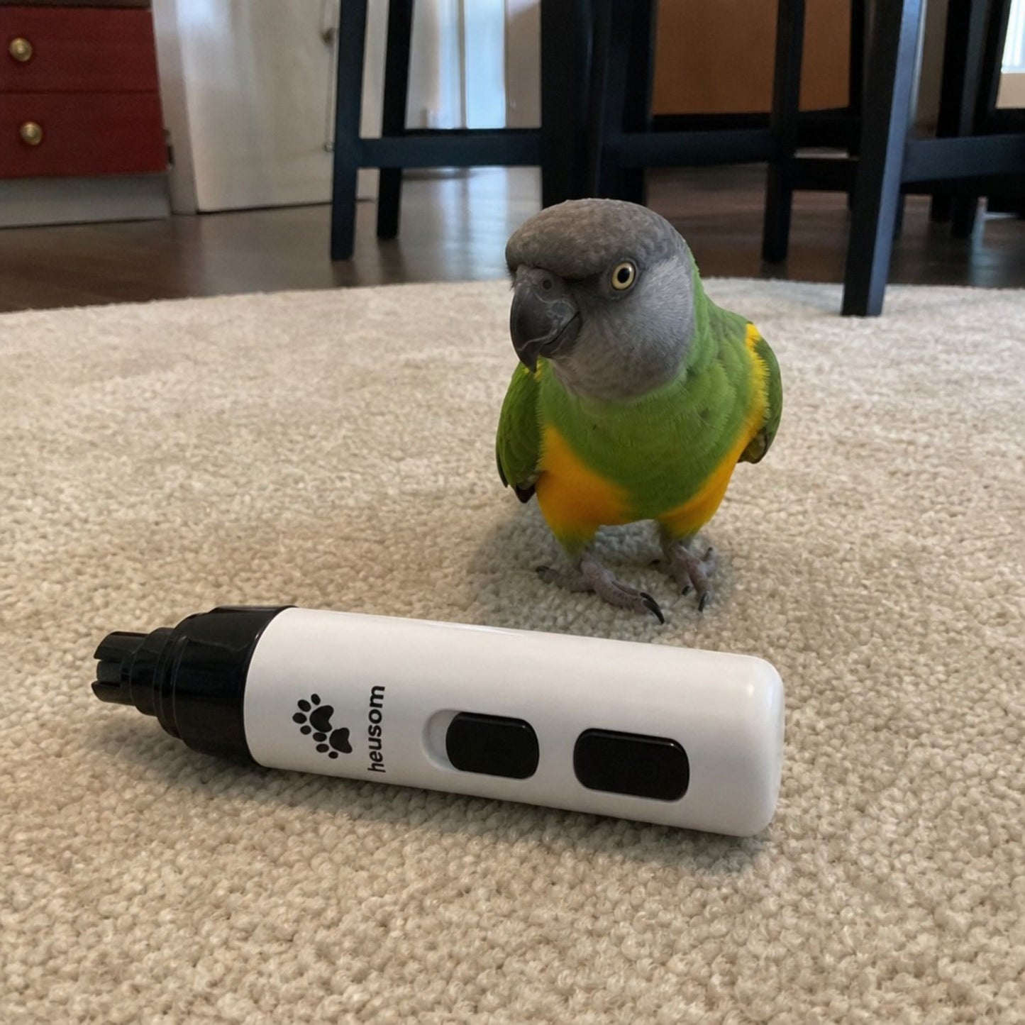 The Silent Groom Pro Birds